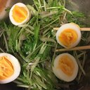 たまご【卵】とゴボウと水菜のサラダ